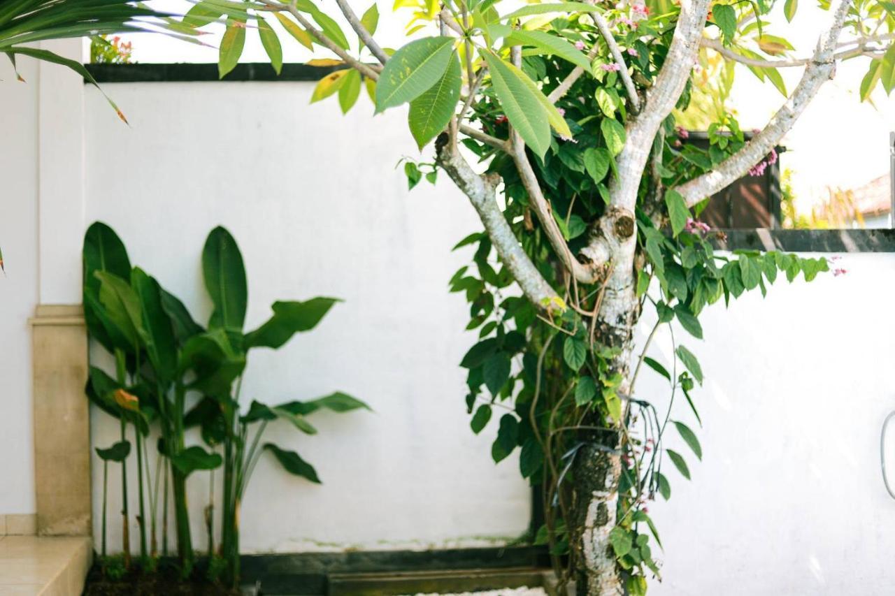 Adi Guest House Canggu  Bagian luar foto