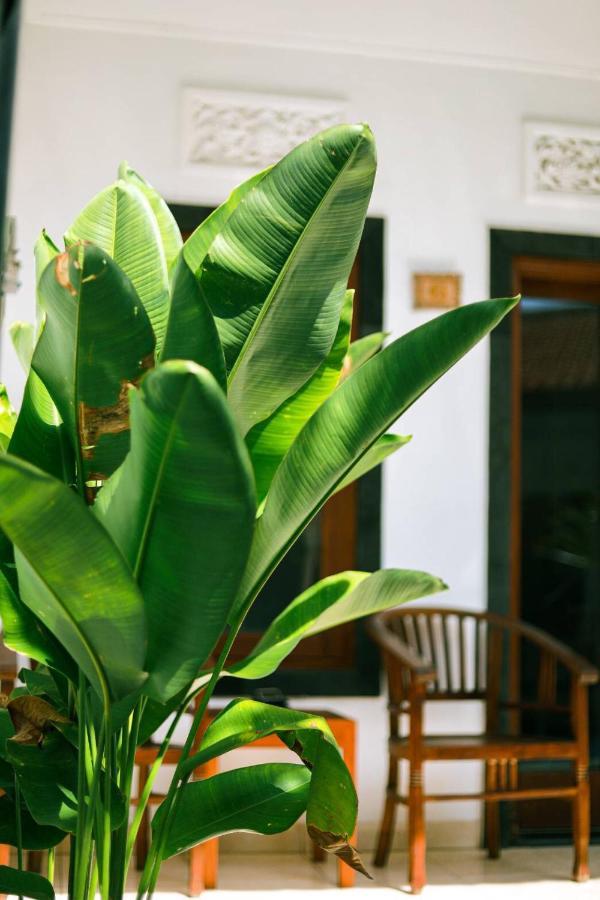 Adi Guest House Canggu  Bagian luar foto
